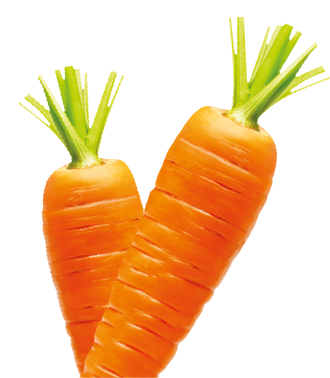 decoration-carrot